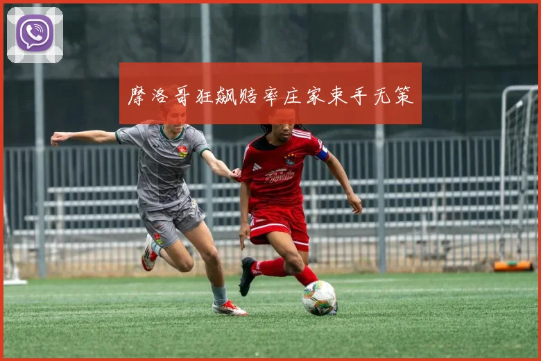 摩洛哥狂飙赔率庄家束手无策