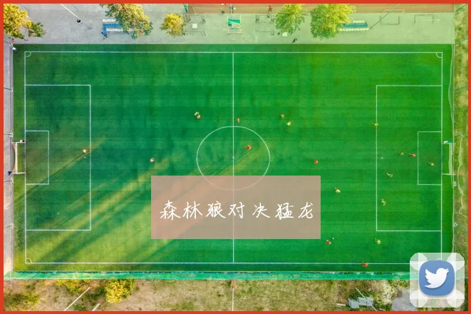 森林狼对决猛龙