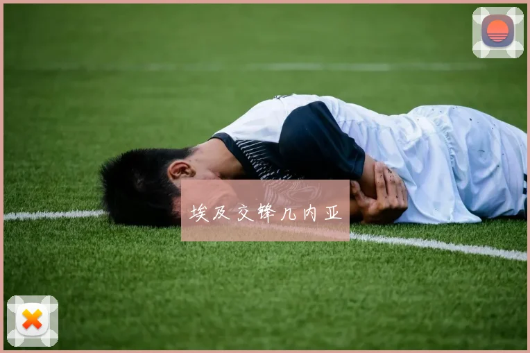 埃及交锋几内亚