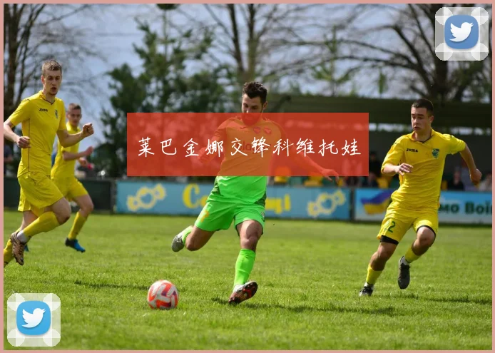 莱巴金娜交锋科维托娃