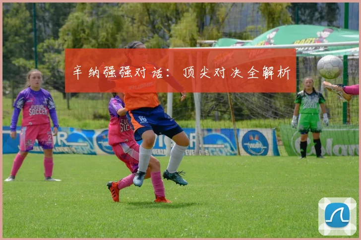 辛纳强强对话：顶尖对决全解析