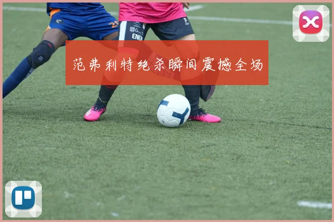 范弗利特绝杀瞬间震撼全场