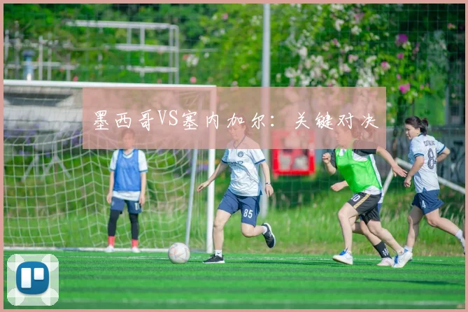 墨西哥VS塞内加尔：关键对决