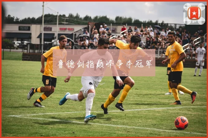 鲁德剑指巅峰争夺冠军