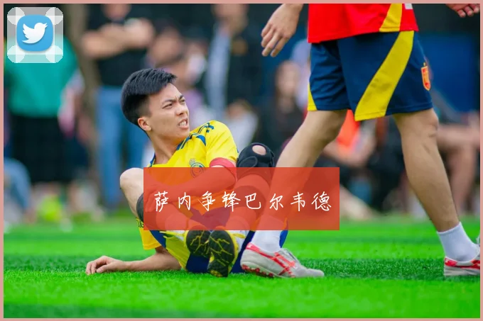 萨内争锋巴尔韦德
