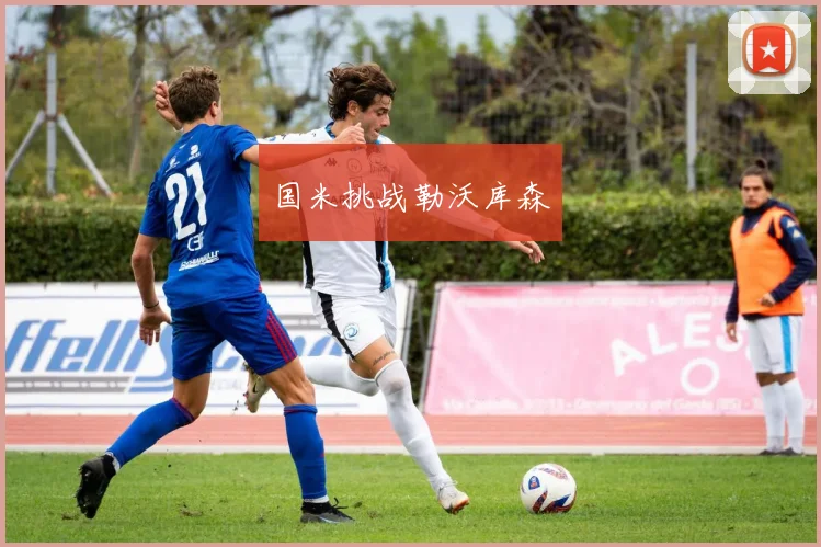 国米挑战勒沃库森