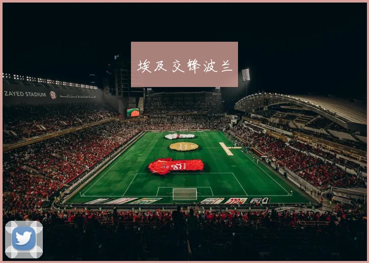 埃及交锋波兰