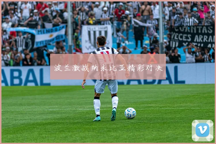 波兰激战纳米比亚精彩对决
