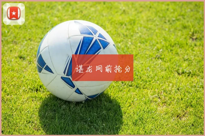 谌龙网前抢分