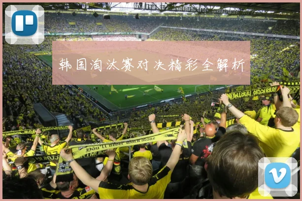 韩国淘汰赛对决精彩全解析