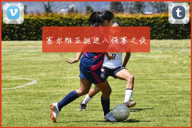 塞尔维亚挺进八强赛之夜