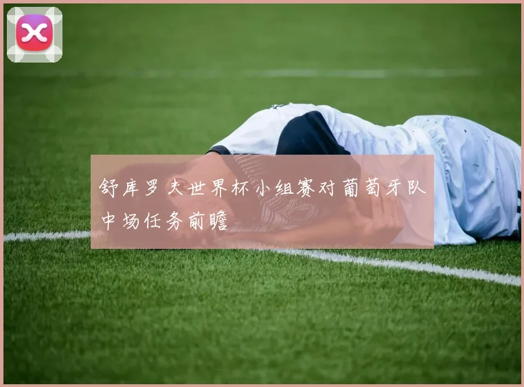舒库罗夫世界杯小组赛对葡萄牙队中场任务前瞻