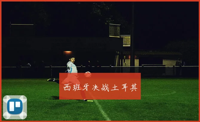 西班牙决战土耳其