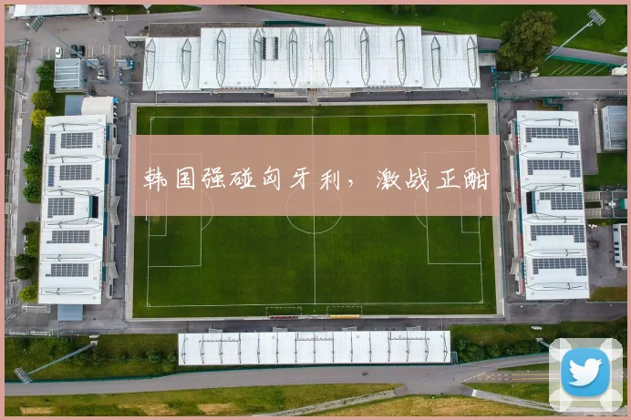 韩国强碰匈牙利，激战正酣