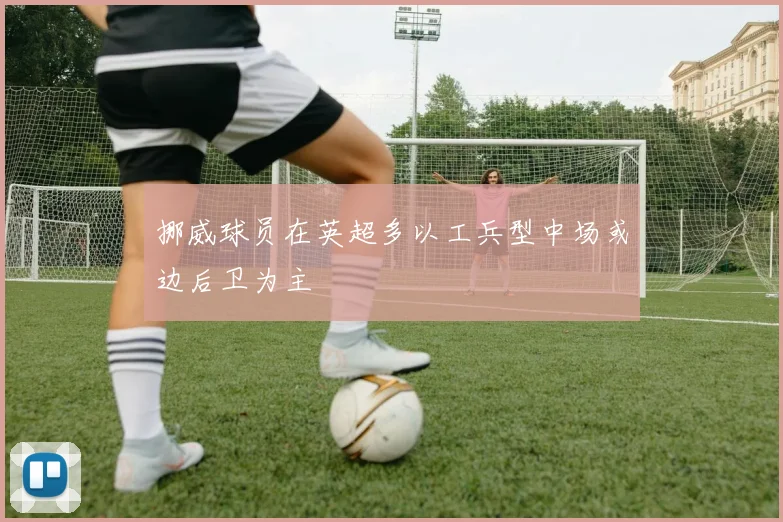 挪威球员在英超多以工兵型中场或边后卫为主