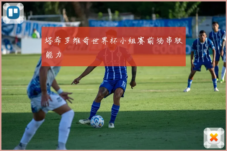 塔希罗维奇世界杯小组赛前场串联能力