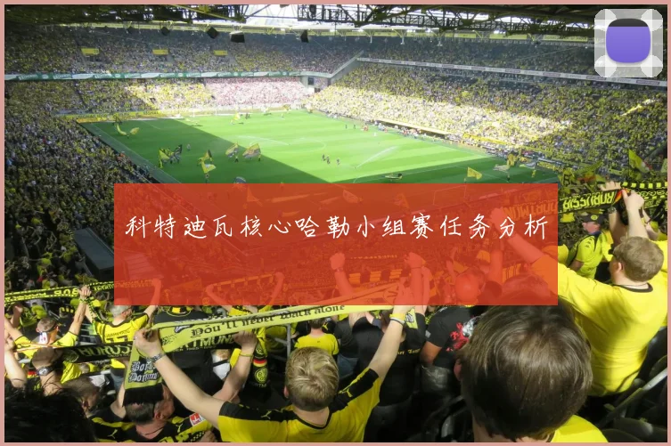 科特迪瓦核心哈勒小组赛任务分析