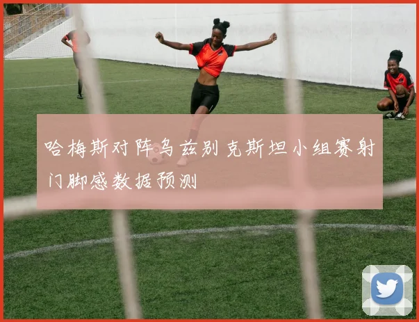 哈梅斯对阵乌兹别克斯坦小组赛射门脚感数据预测