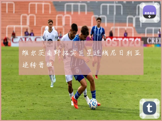 维尔茨南野拓实巨星连线尼日利亚逆转晋级