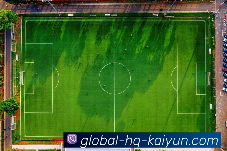 开云Kaiyun综合appapp下载国际认证