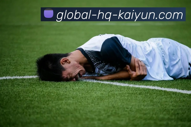 开云Kaiyun综合appapp下载全球热力图