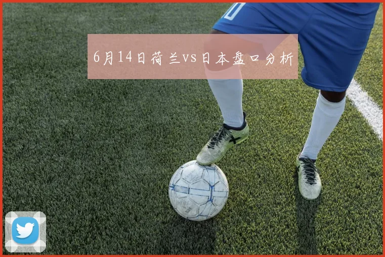 6月14日荷兰vs日本盘口分析
