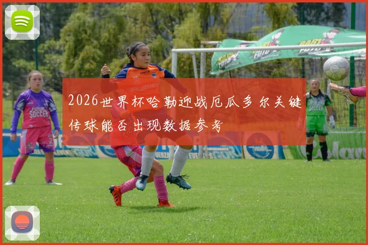 2026世界杯哈勒迎战厄瓜多尔关键传球能否出现数据参考