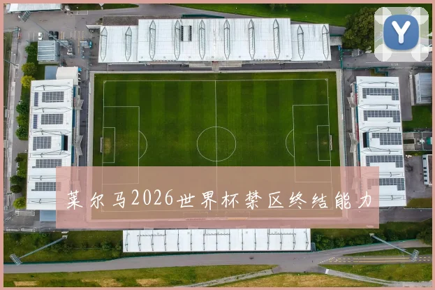 莱尔马2026世界杯禁区终结能力